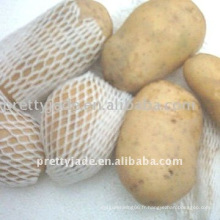 Exportateur de pommes de terre en Chine
